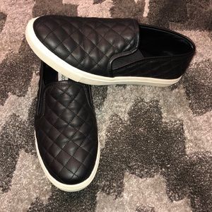 Women's Steve Madden Ecentrcq Slip On Sneaker